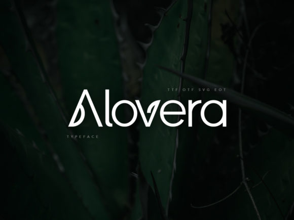 Alovera Font: A Digital Designer's Honest Review